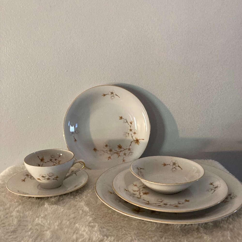 Winterling Bavaria Germany (6) Pc Place Setting